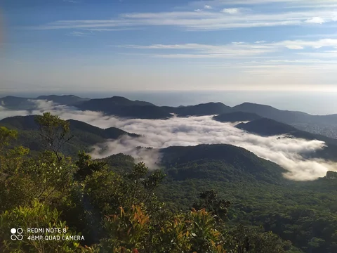 Pico da Pedra