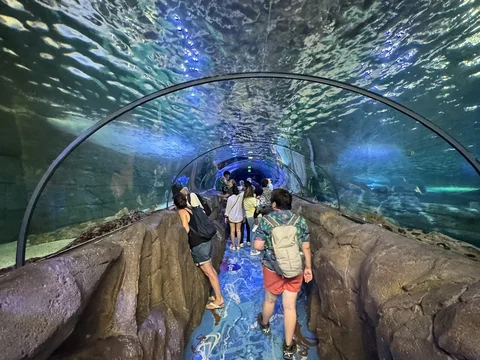 SEA LIFE Sydney Aquarium