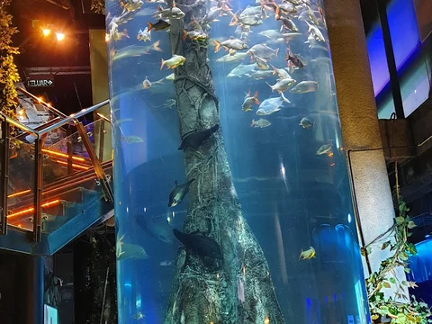 Aquaria KLCC