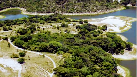 Visita à Lagoa do Abaeté e Praia de Itapuã