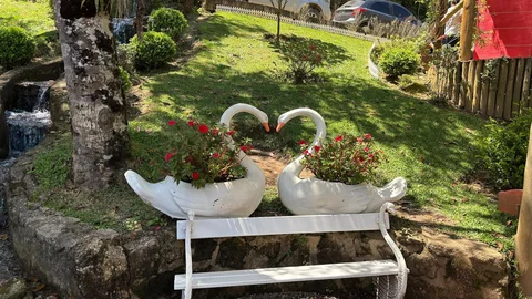 Restaurante Galinha da Roça