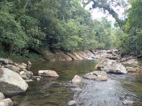Complexo Termal da Lama Negra de Peruíbe