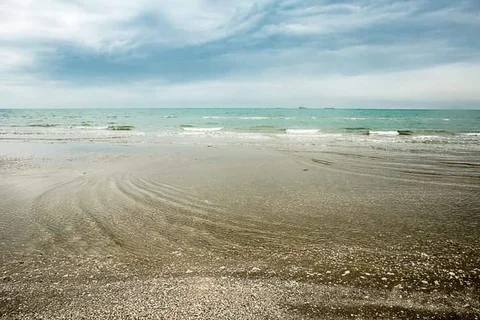 Oasi Dune degli Alberoni