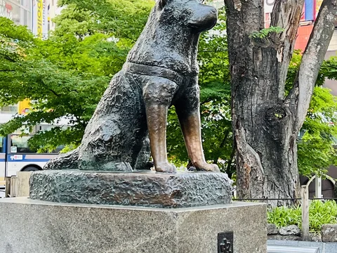 Shibuya Crossing e Hachiko Statue