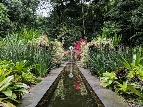 Jardim Botânico do Recife