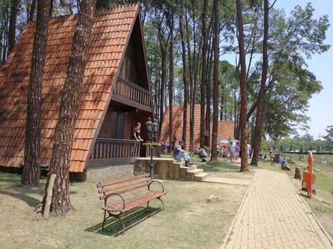 Parque Van Gogh