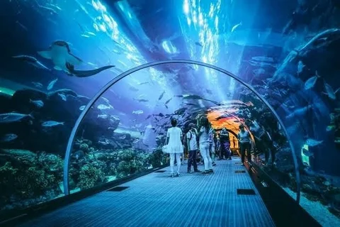 Ripley's Aquarium of Canada