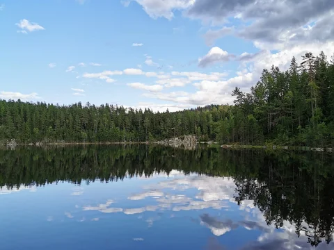 Østmarka