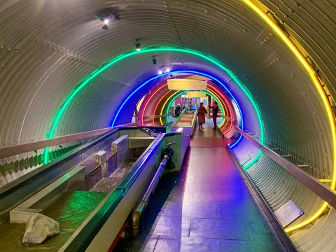 Brooklyn Children's Museum