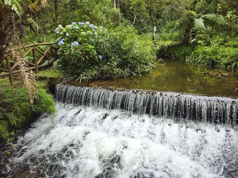 Parque Estadual Campos do Jordao