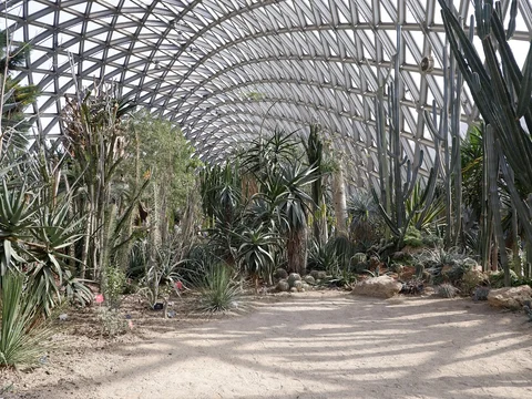Chenshan Botanical Garden