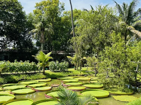 Khu Du Lich Sinh Thai Binh Quoi 1