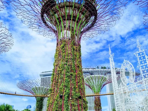 Supertree Grove - OCBC Skyway