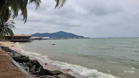 Bang Saray Beach Forest