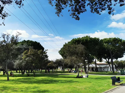 Parque del Alamillo