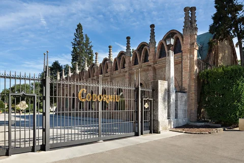 Codorníu (Penedès)