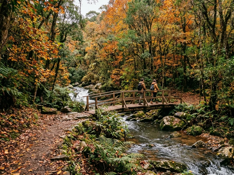 Um roteiro ecológico desenhado especialmente para amantes da natureza que buscam turismo responsável e baixo impacto ambiental. Vivencie as belezas das araucárias e sequoias, as águas limpas do Ecoparque Sperry e os mirantes grandiosos do Cânion da Ferradura, acompanhado de guias ambientais e hospedagem com certificação sustentável pioneira. 🍃🥾