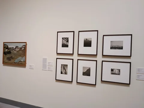 Moderna Museet