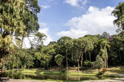 Jardim Botanico de Sao Paulo