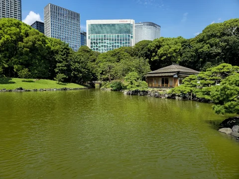 Hama-rikyu Gardens