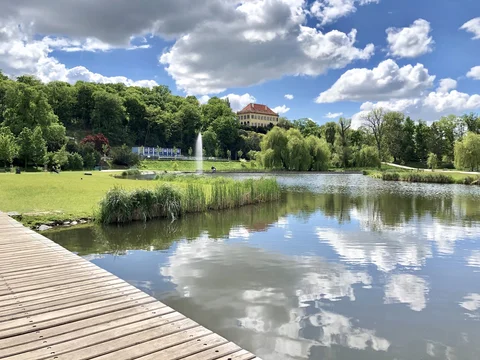 Královská obora Stromovka
