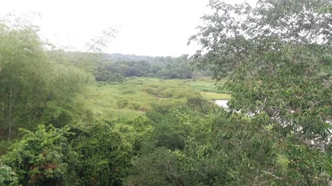 Parque Nacional do Iguaçu - Trilha do Poço Preto
