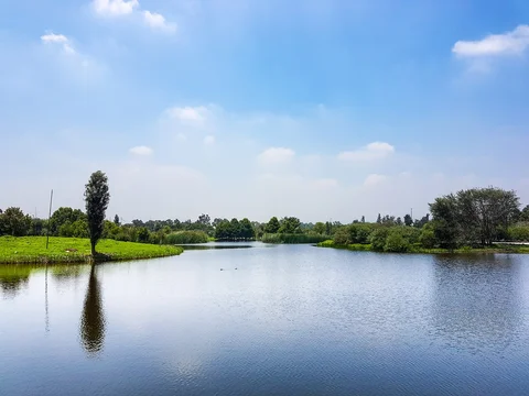 Parque Ecologico de Xochimilco