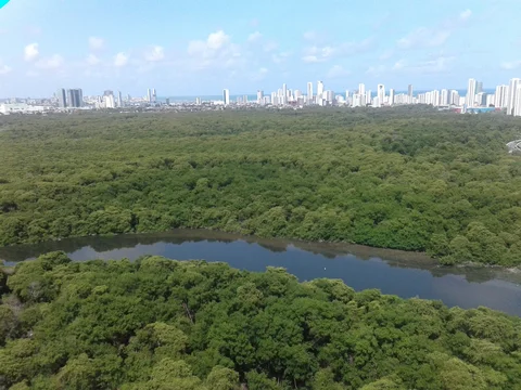 Manguezal do Pina (Ponto de Partida de Tours)