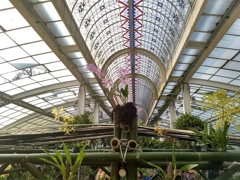 Jardin Botanico del Bosque de Chapultepec