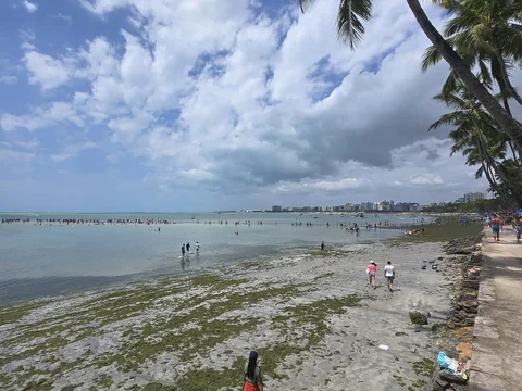 Orla de Ponta Verde