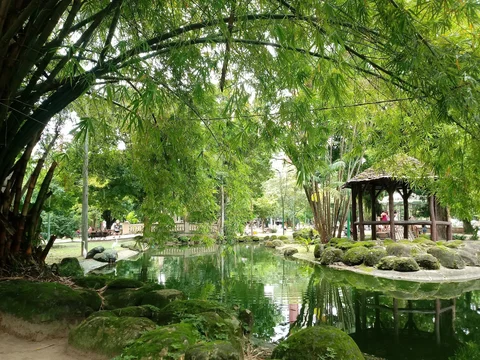 Praca Batista Campos