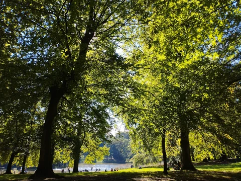 Bois de la Cambre