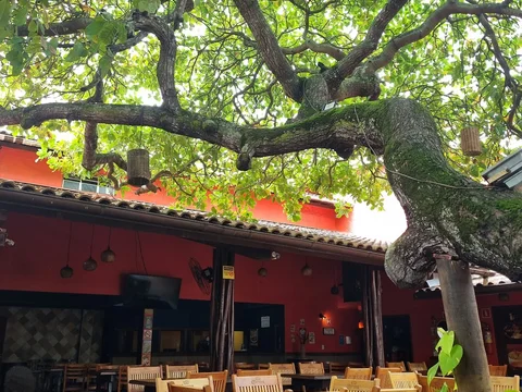 Bar do Souza