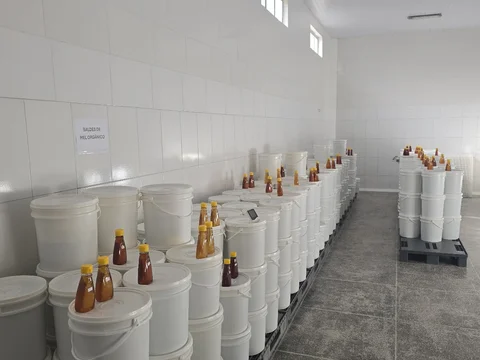 Associacao dos Produtores Organicos do Capao