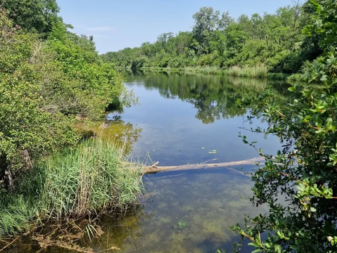 Nationalpark Donau Auen