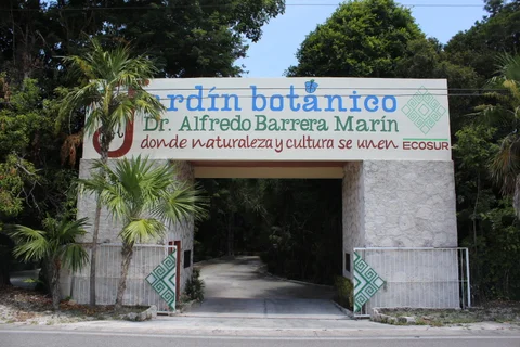 Jardín Botánico Dr. Alfredo Barrera Marín