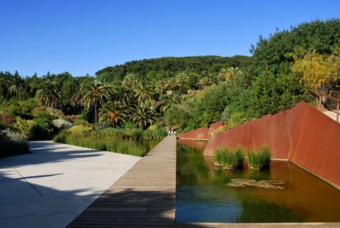 Jardí Botànic de Barcelona
