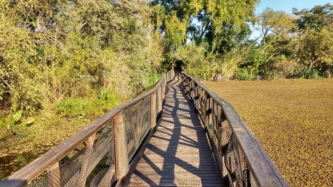 Reserva Ecológica Vicente López