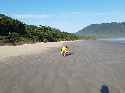 Nucleo Picinguaba do Parque Estadual da Serra do Mar