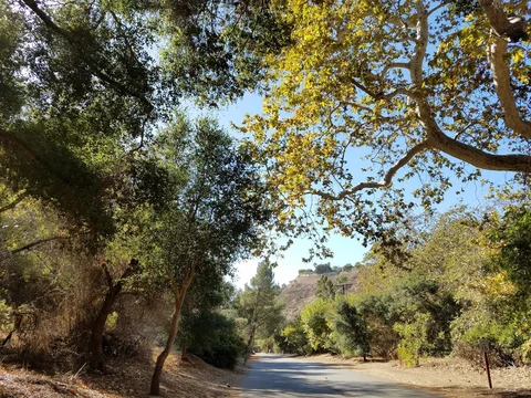 Franklin Canyon Park