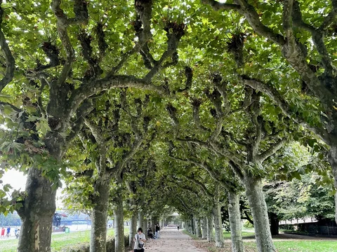 Nizza Park