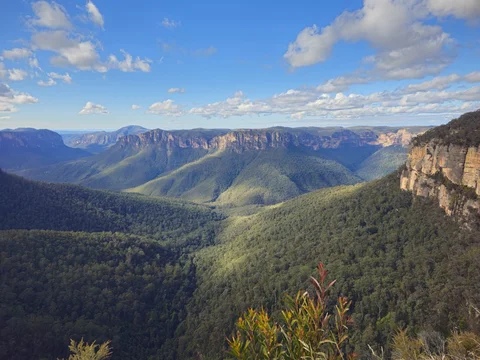 Blue Mountains National Park