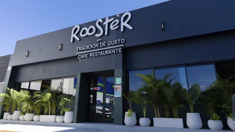 Rooster Cancun