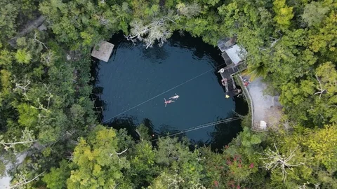 Selvatica