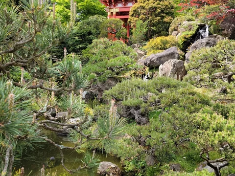 Japanese Tea Garden