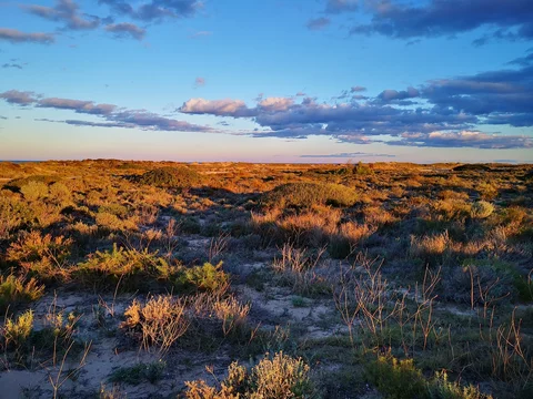 Dehesa del Saler
