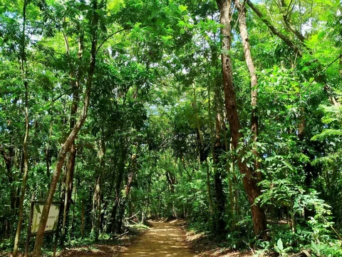 Jardim Botânico de Salvador