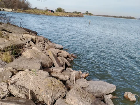 Laguna de Lobos