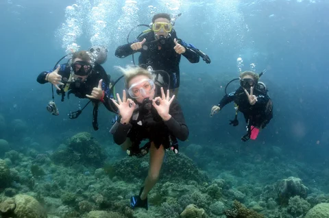 Master Dive