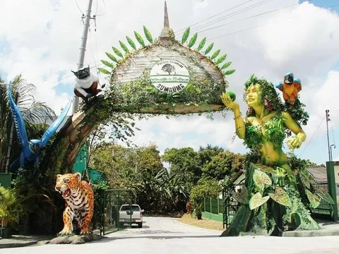 Parque Estadual Sumauma